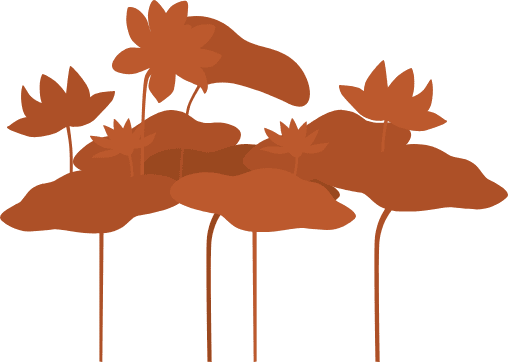 leaf image