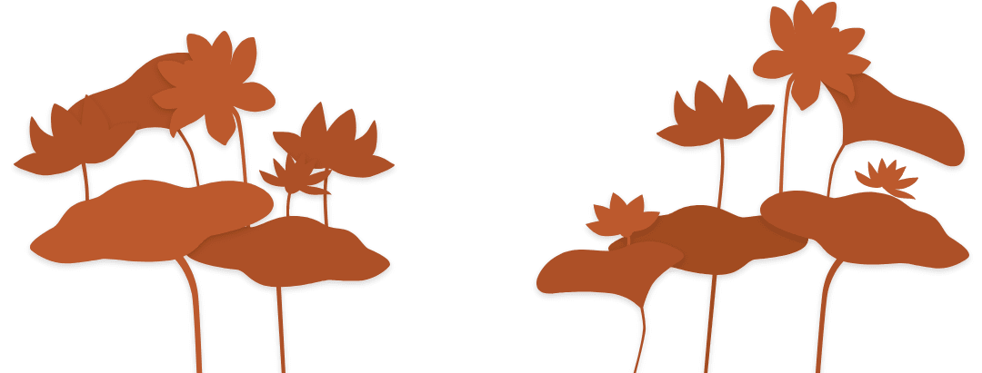 leaf image